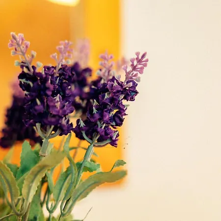 Near Petzen Slopes * Gallizien